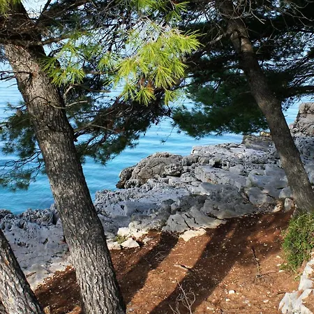 By The Sea Cove Pokrivenik, Hvar - 5224 Apartament *